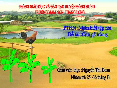Bài giảng Phát triển nhận thức: Nhận biết tập nói - Đề tài: Con gà trống