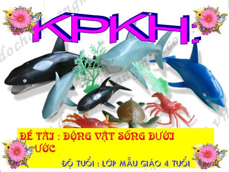 Bài giảng Mầm non Lớp Chồi - Đề tài: Động vật sống dưới nước. Hoạt động: Khám phá khoa học - Năm học 2024-2025 - Lê Thị Thùy