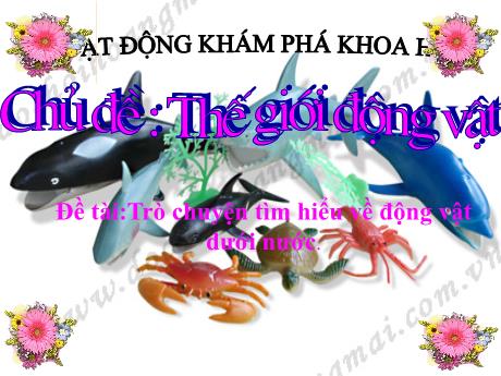 Bài giảng Mầm non Lớp Lá - Chủ đề: Thế giới động vật. Đề tài: Trò chuyện tìm hiểu về động vật dưới nước - Năm học 2024-2025 - Lê Thị Thanh Chiên