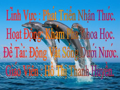 Bài giảng Mầm non Lớp Lá - Đề tài: Động vật sống dưới nước. Hoạt động: Khám phá khoa học. Lĩnh vực: Phát triển nhận thức - Năm học 2021-2022 - Hồ Thị Thanh Huyền