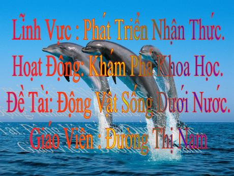 Bài giảng Mầm non Lớp Lá - Đề tài: Động vật sống dưới nước. Hoạt động: Khám phá khoa học. Lĩnh vực: Phát triển nhận thức - Năm học 2023-2024 - Đường Thị Nam
