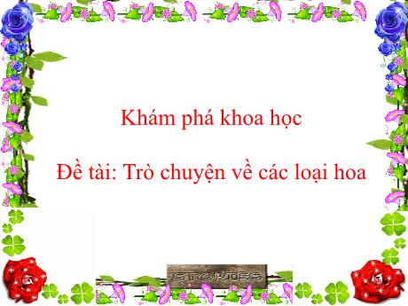 Bài giảng Mầm non Lớp Lá - Đề tài: Trò chuyện về các loại hoa. Hoạt động: Khám phá khoa học - Năm học 2024-2025 - Thái Thị Phương Lan