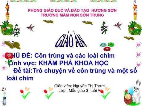 Bài giảng Mầm non Lớp Mầm - Chủ đề: Côn trùng và các loài chim. Đề tài: Trò chuyện về côn trùng và một số loài chim. Lĩnh vực: Khám phá khoa học - Năm học 2022-2023 - Nguyễn Thị Thơm