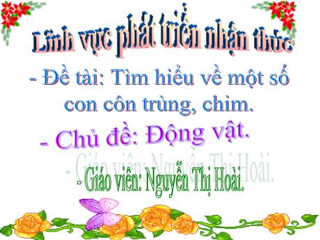 Bài giảng Mầm non Lớp Mầm - Chủ đề: Động vật. Đề tài: Tìm hiểu về một số con côn trùng, chim. Lĩnh vực: Phát triển nhận thức - Năm học 2023-2024 - Nguyễn Thị Hoài