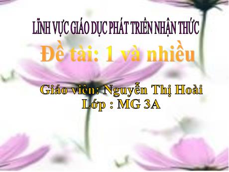 Bài giảng Mầm non Lớp Mầm - Đề tài: Một và nhiều. Lĩnh vực: Phát triển nhận thức - Năm học 2023-2024 - Nguyễn Thị Hoài