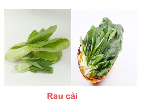 Bài giảng Mầm non Lớp Mầm - Đề tài: Tìm hiểu một số loại rau - Năm học 2023-2024 - Phan Thị Thanh Ngọc